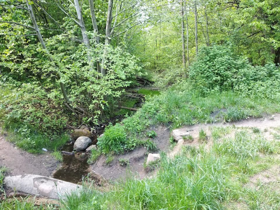 Cedrono kraštovaizdis