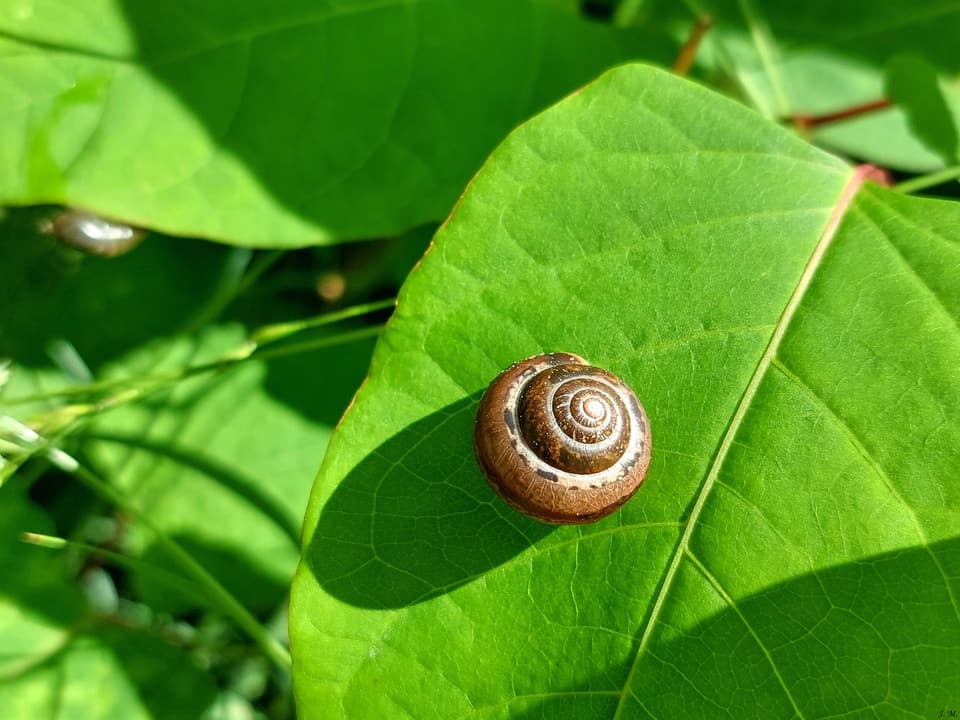 Socialinės-psichologinės grėsmės