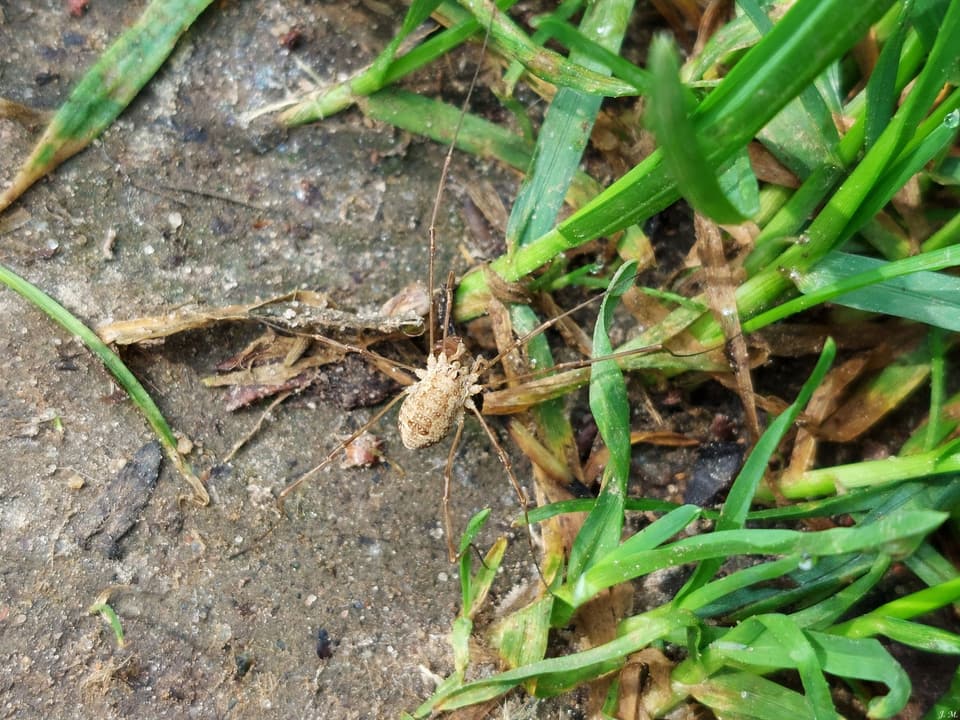 Teisinės ir administracinės spragos